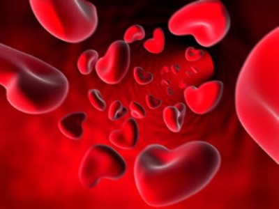 Il sangue