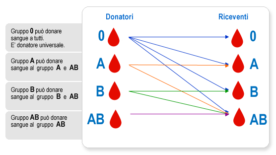 Schema dei gruppi sanguigni